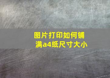 图片打印如何铺满a4纸尺寸大小