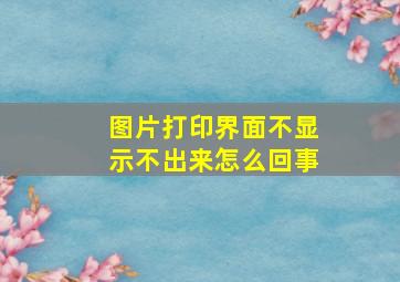 图片打印界面不显示不出来怎么回事