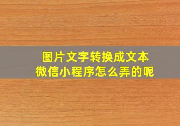 图片文字转换成文本微信小程序怎么弄的呢