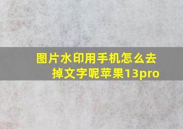 图片水印用手机怎么去掉文字呢苹果13pro