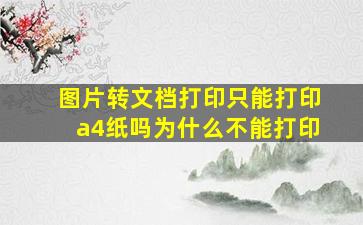 图片转文档打印只能打印a4纸吗为什么不能打印