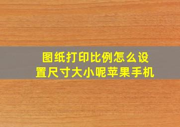 图纸打印比例怎么设置尺寸大小呢苹果手机