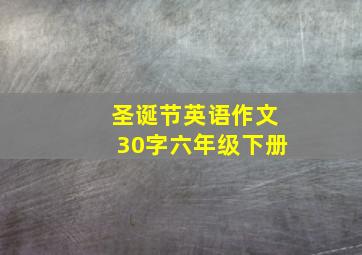 圣诞节英语作文30字六年级下册