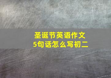 圣诞节英语作文5句话怎么写初二