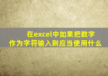 在excel中如果把数字作为字符输入则应当使用什么