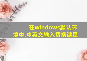 在windows默认环境中,中英文输入切换键是