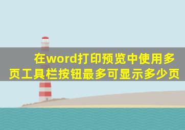 在word打印预览中使用多页工具栏按钮最多可显示多少页