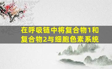 在呼吸链中将复合物1和复合物2与细胞色素系统