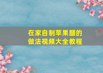 在家自制苹果醋的做法视频大全教程