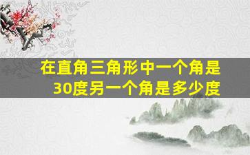 在直角三角形中一个角是30度另一个角是多少度