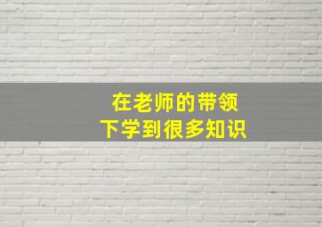 在老师的带领下学到很多知识