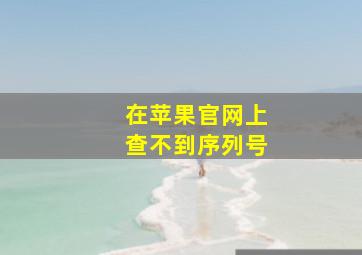 在苹果官网上查不到序列号