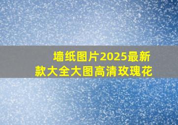 墙纸图片2025最新款大全大图高清玫瑰花