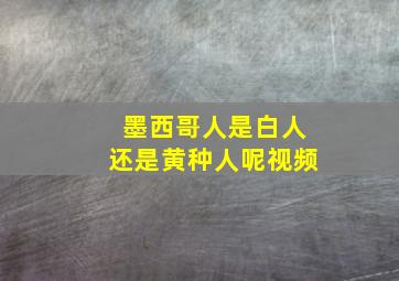 墨西哥人是白人还是黄种人呢视频