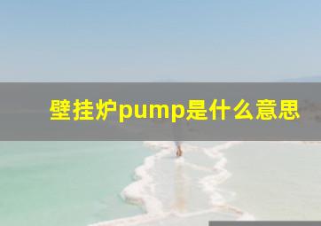 壁挂炉pump是什么意思