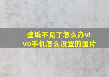 壁纸不见了怎么办vivo手机怎么设置的图片