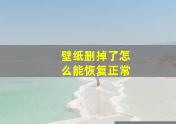 壁纸删掉了怎么能恢复正常