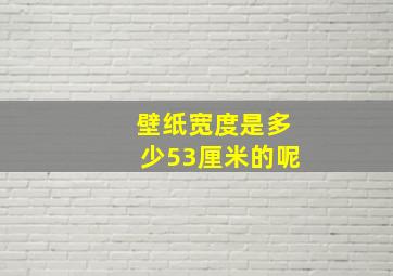 壁纸宽度是多少53厘米的呢