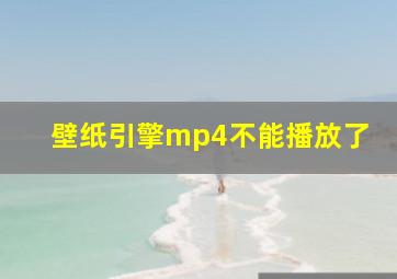 壁纸引擎mp4不能播放了