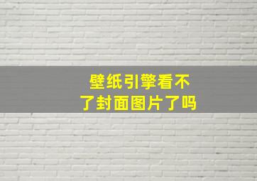 壁纸引擎看不了封面图片了吗