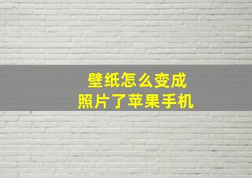 壁纸怎么变成照片了苹果手机