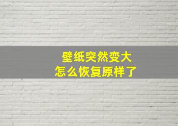 壁纸突然变大怎么恢复原样了