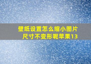 壁纸设置怎么缩小图片尺寸不变形呢苹果13