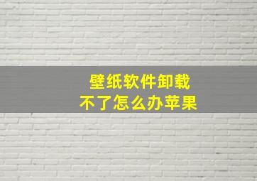 壁纸软件卸载不了怎么办苹果