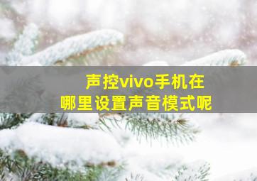 声控vivo手机在哪里设置声音模式呢