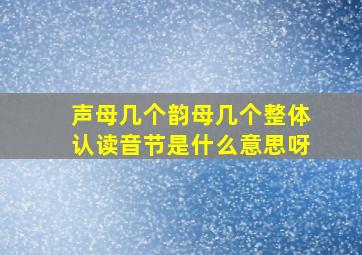 声母几个韵母几个整体认读音节是什么意思呀