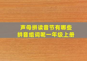 声母拼读音节有哪些拼音组词呢一年级上册