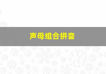 声母组合拼音