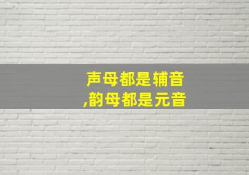 声母都是辅音,韵母都是元音