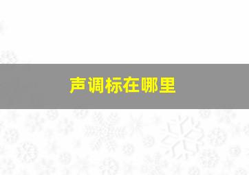 声调标在哪里