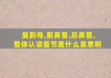 复韵母,前鼻音,后鼻音,整体认读音节是什么意思啊