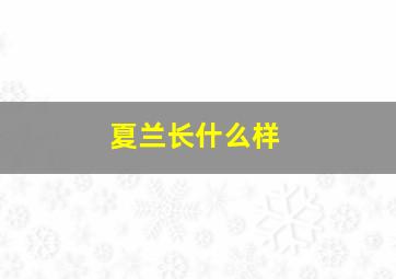 夏兰长什么样