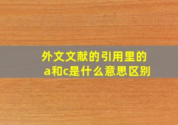 外文文献的引用里的a和c是什么意思区别