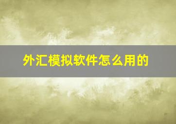 外汇模拟软件怎么用的