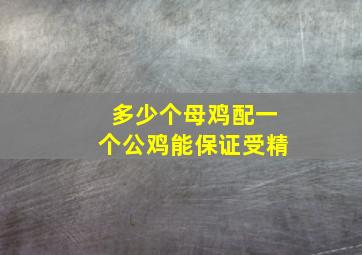 多少个母鸡配一个公鸡能保证受精