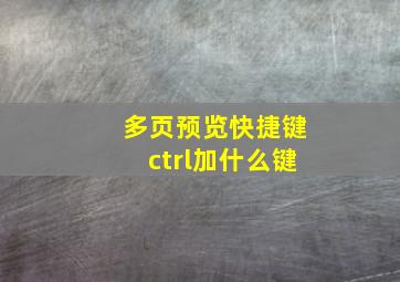 多页预览快捷键ctrl加什么键