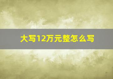 大写12万元整怎么写