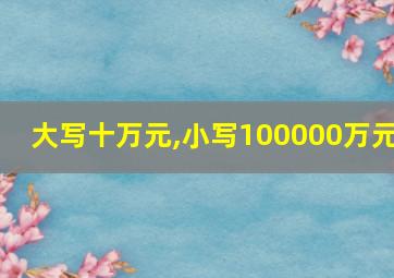 大写十万元,小写100000万元