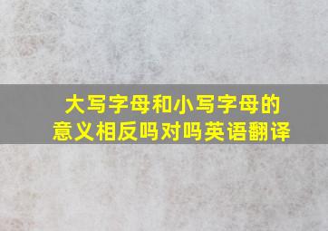 大写字母和小写字母的意义相反吗对吗英语翻译