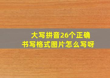 大写拼音26个正确书写格式图片怎么写呀