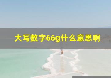 大写数字66g什么意思啊