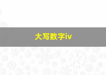 大写数字iv