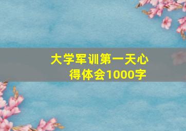 大学军训第一天心得体会1000字