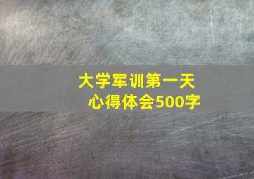 大学军训第一天心得体会500字