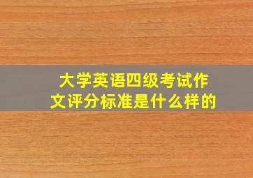 大学英语四级考试作文评分标准是什么样的