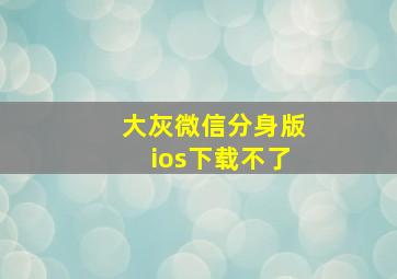 大灰微信分身版ios下载不了